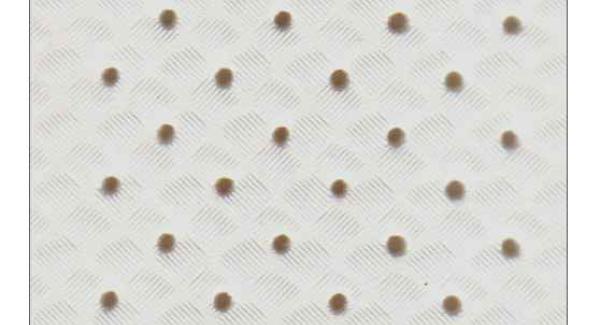 Silva Forello Tape